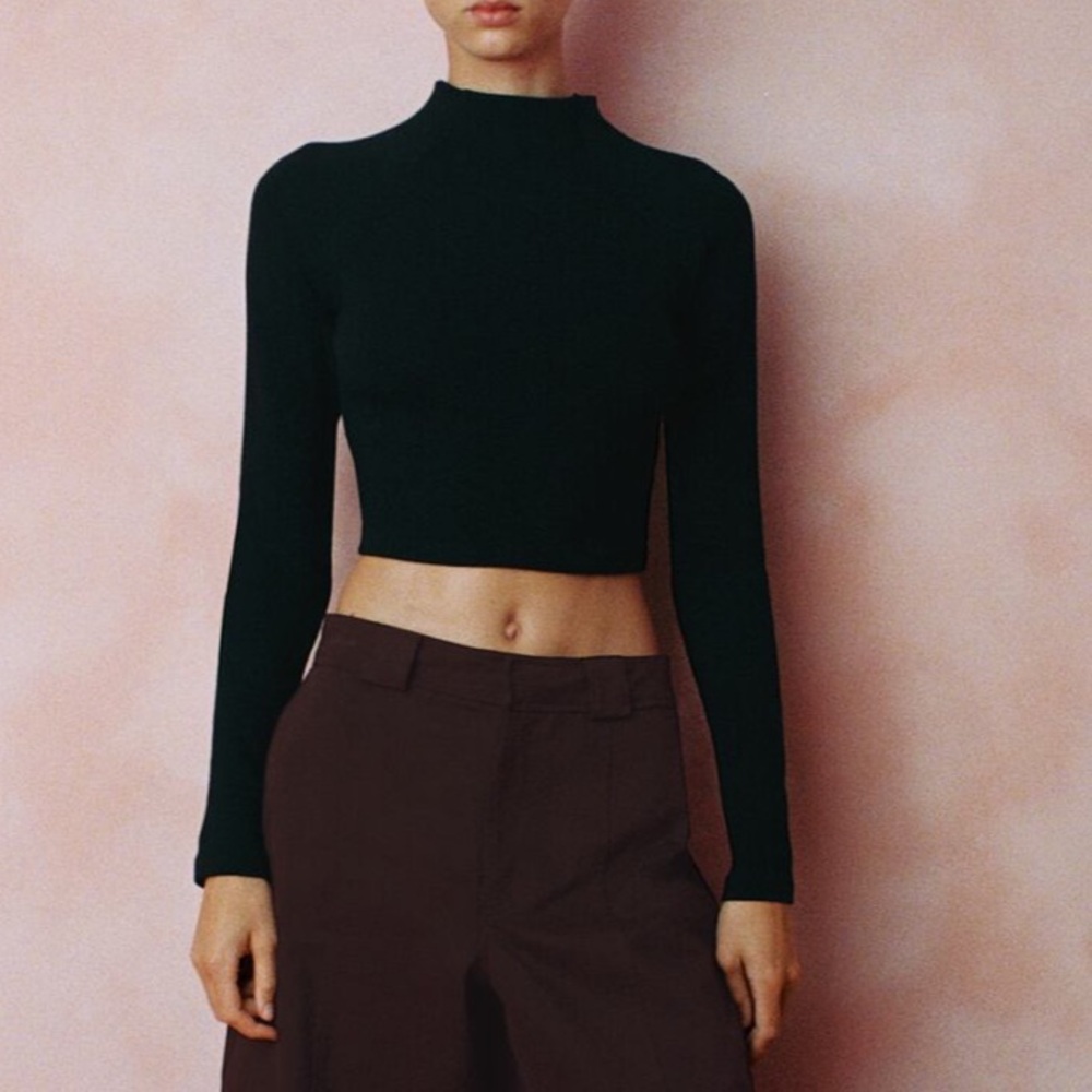 Zara Long Sleeve Crop Top